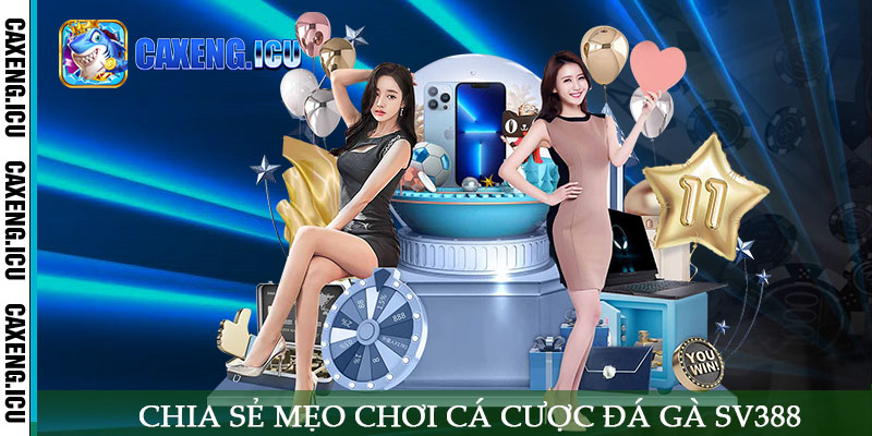 Chia sẻ mẹo chơi cá cược đá gà SV388 hiệu quả