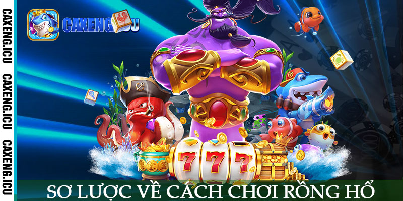 Sơ lược về cách chơi rồng hổ
